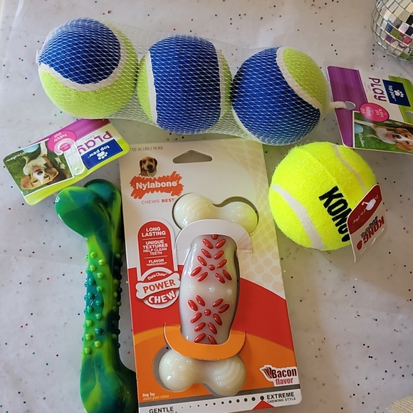 Top Paw & Nylabone Other - BUNDLE/NEW 2-Dog Chew Bones, 4-Balls
